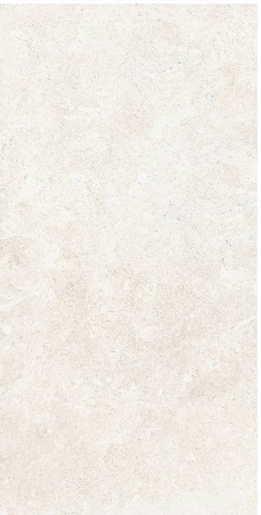 OL Limestone Avorio Matte 12 x 24